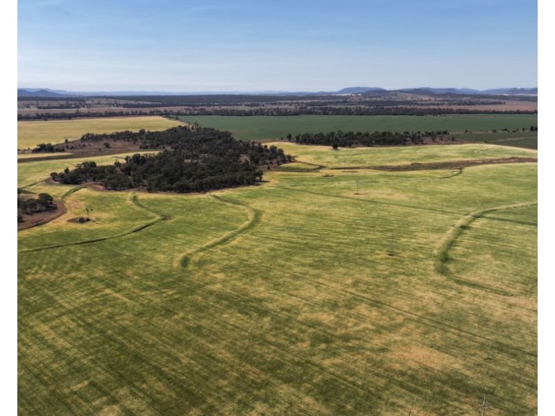 Binneguy Station, Biniguy NSW 2399