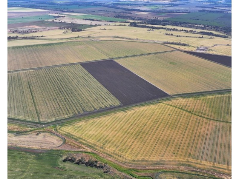 Binneguy Station, Biniguy NSW 2399