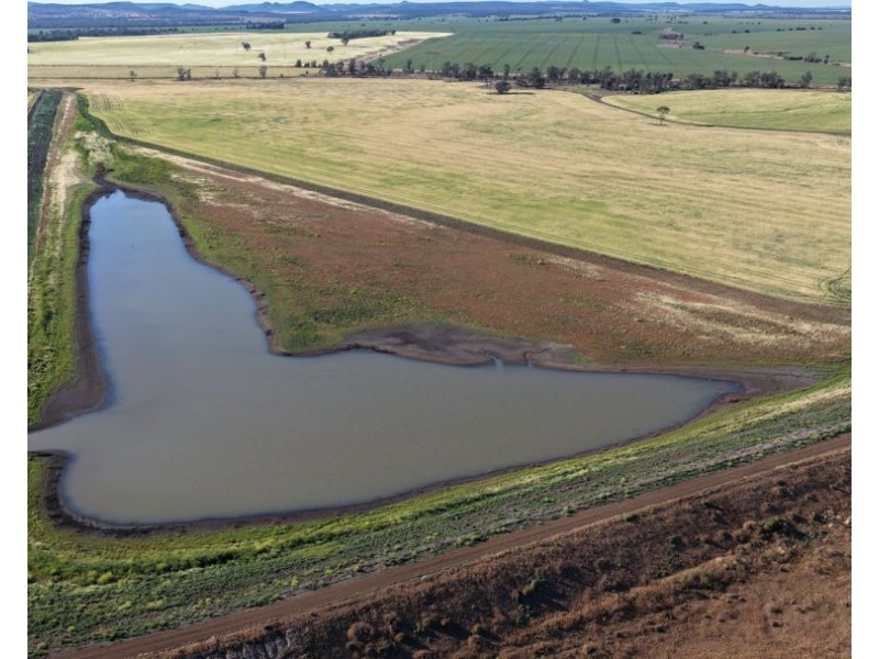 Binneguy Station, Biniguy NSW 2399