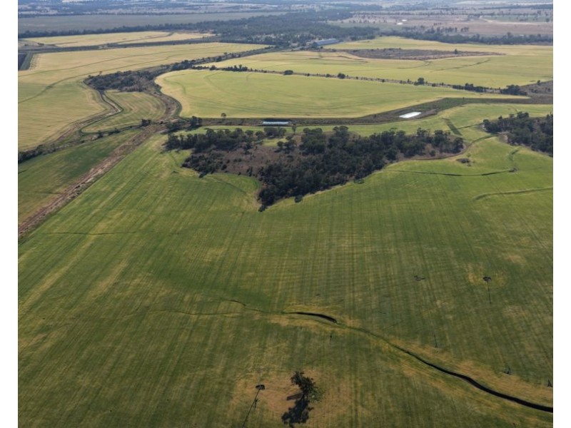 Binneguy Station, Biniguy NSW 2399