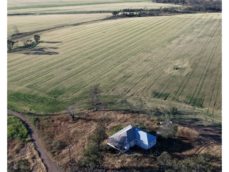 Binneguy Station, Biniguy NSW 2399