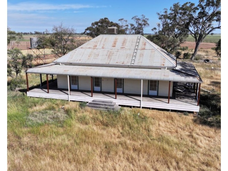 Binneguy Station, Biniguy NSW 2399