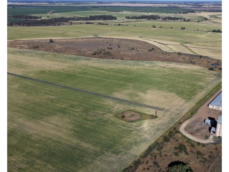 Binneguy Station, Biniguy NSW 2399