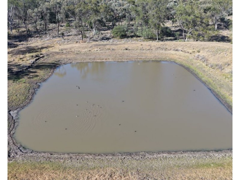 Binneguy Station, Biniguy NSW 2399