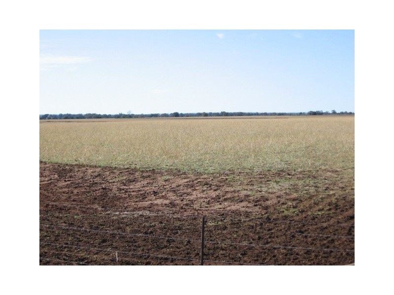 Pallamallawa NSW 2399