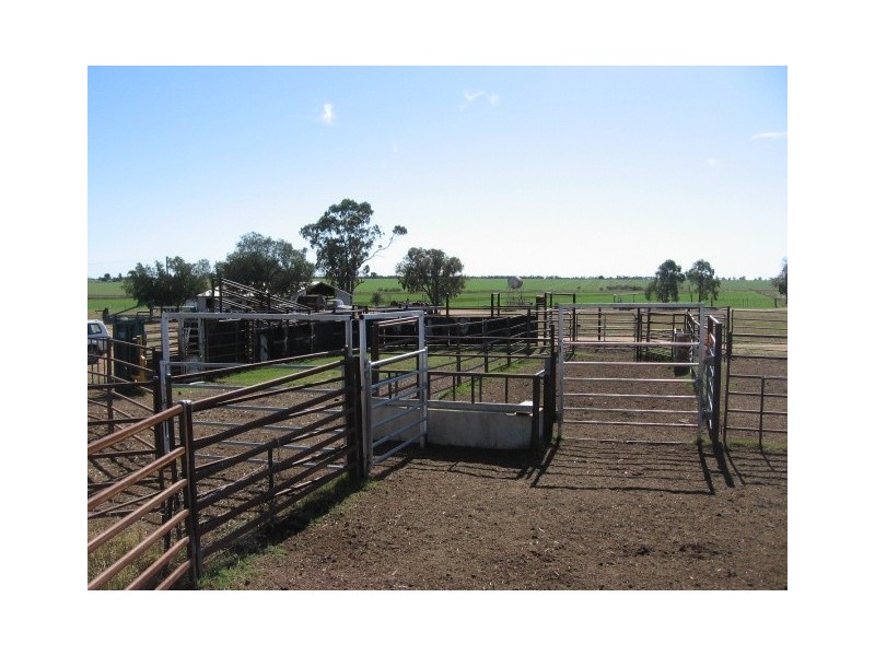 Pallamallawa NSW 2399