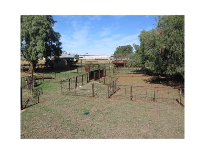 Pallamallawa NSW 2399