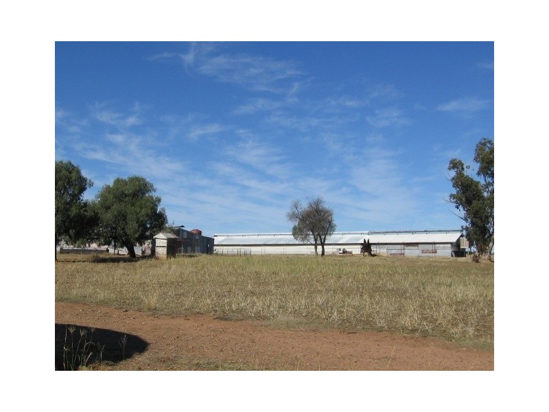 Pallamallawa NSW 2399