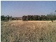 Biniguy NSW 2399