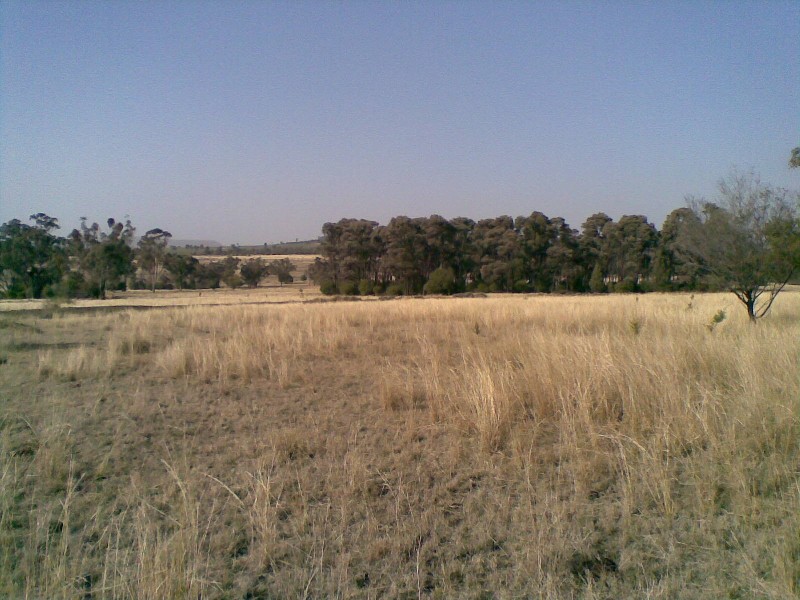 Biniguy NSW 2399