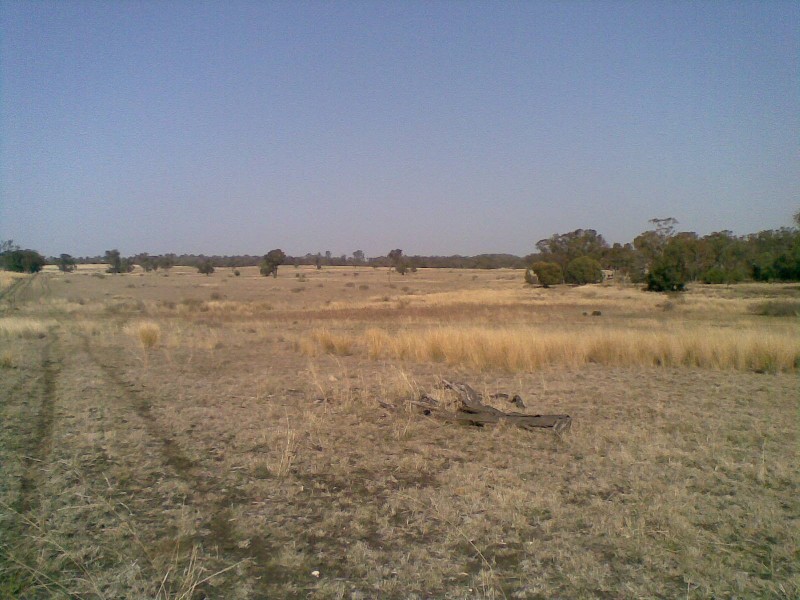 Biniguy NSW 2399