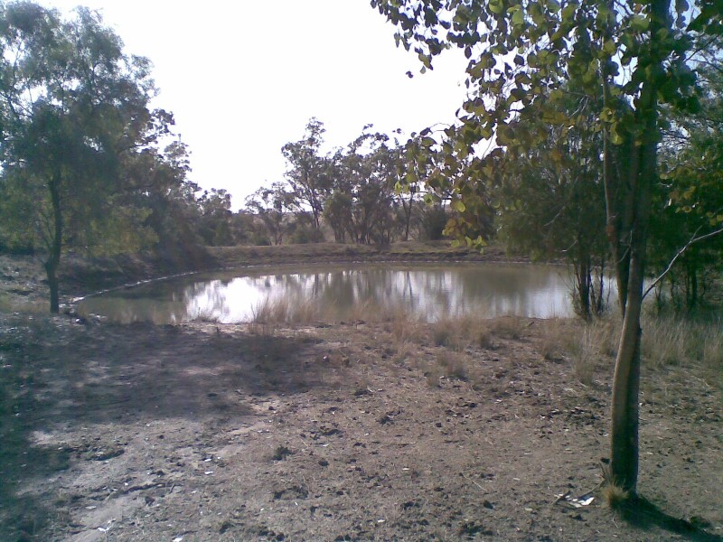 Biniguy NSW 2399