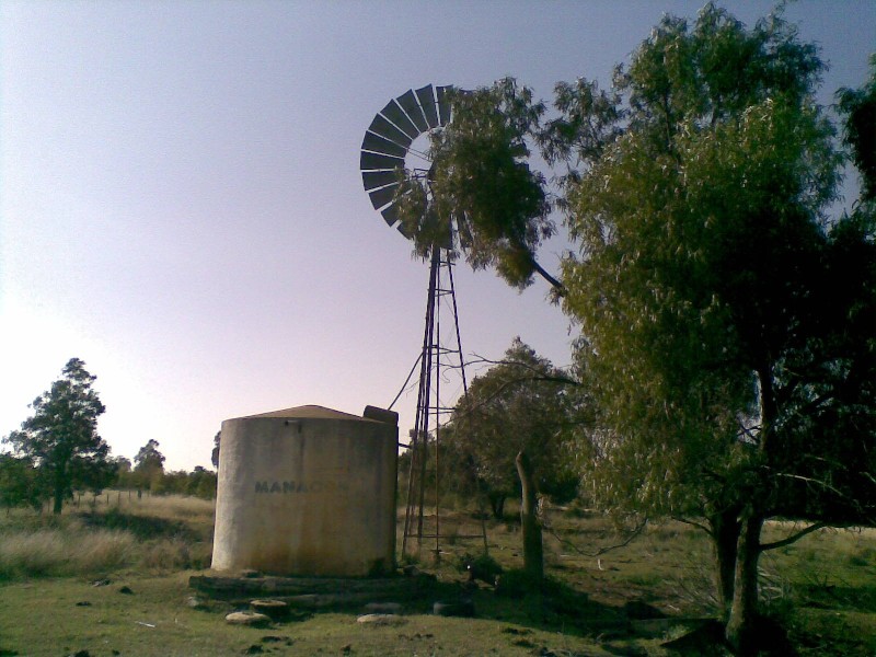 Biniguy NSW 2399