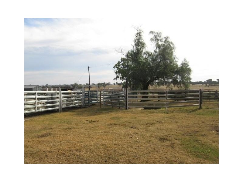 ‘ ‘SWINTON’, Delungra NSW 2403