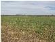 ‘ ‘SWINTON’, Delungra NSW 2403