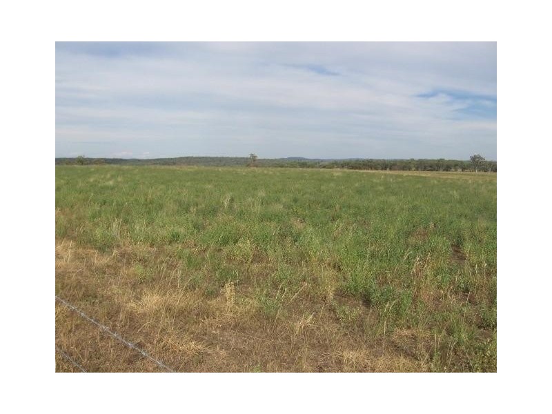 ‘ ‘SWINTON’, Delungra NSW 2403