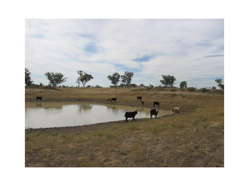 ‘ ‘SWINTON’, Delungra NSW 2403