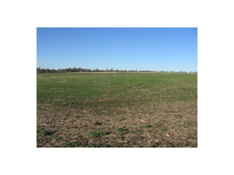 Delungra NSW 2403