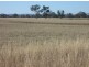 Delungra NSW 2403