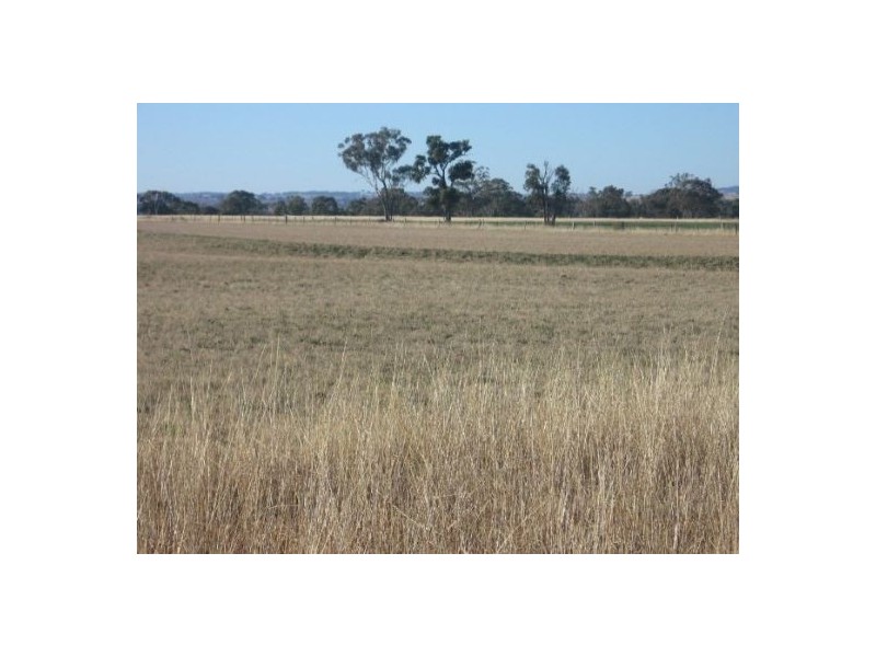 Delungra NSW 2403