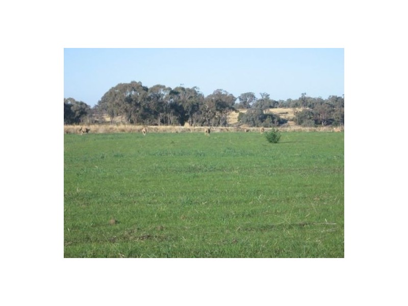 Delungra NSW 2403