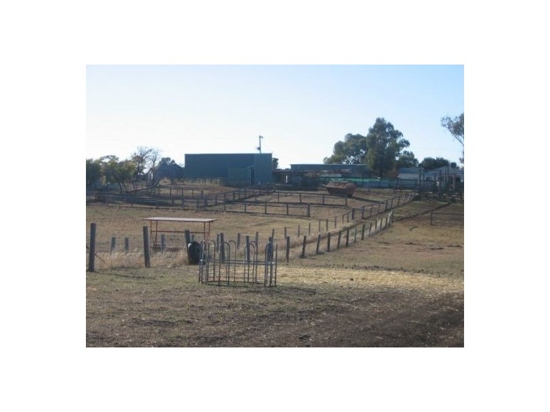 Delungra NSW 2403