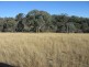 Delungra NSW 2403