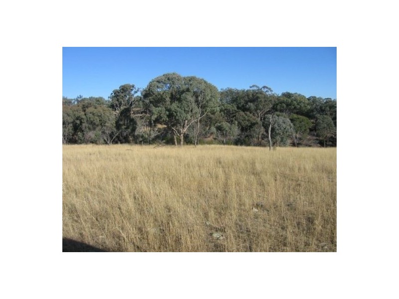 Delungra NSW 2403
