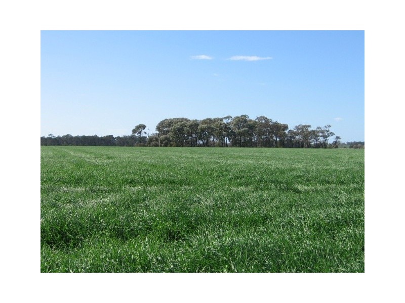 Moree NSW 2400