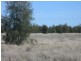 Moree NSW 2400