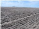 Moree NSW 2400