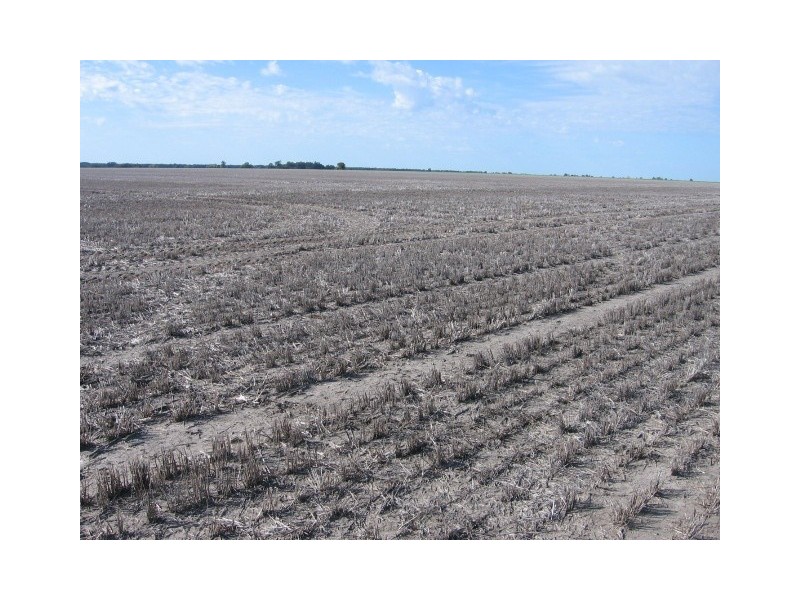 Moree NSW 2400