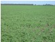 Moree NSW 2400