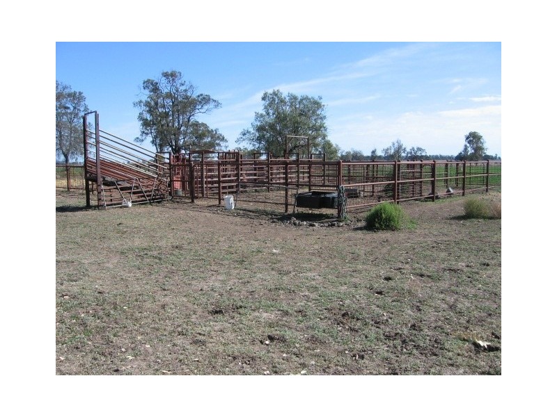 Moree NSW 2400