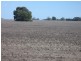 Moree NSW 2400