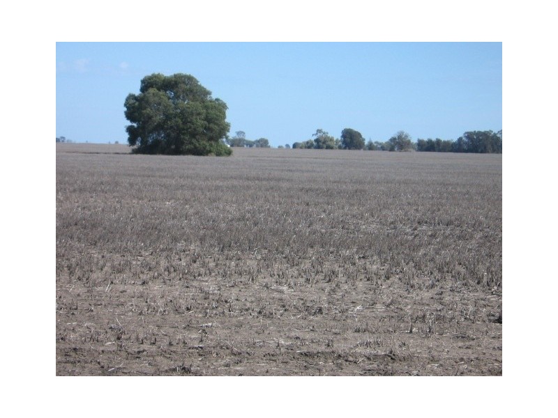 Moree NSW 2400