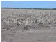 Moree NSW 2400
