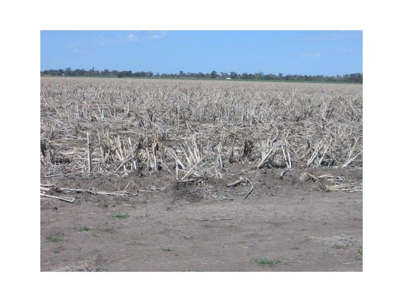 Moree NSW 2400