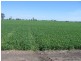 Moree NSW 2400
