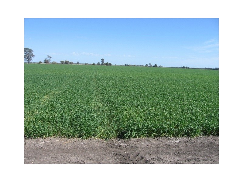 Moree NSW 2400