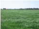 Moree NSW 2400