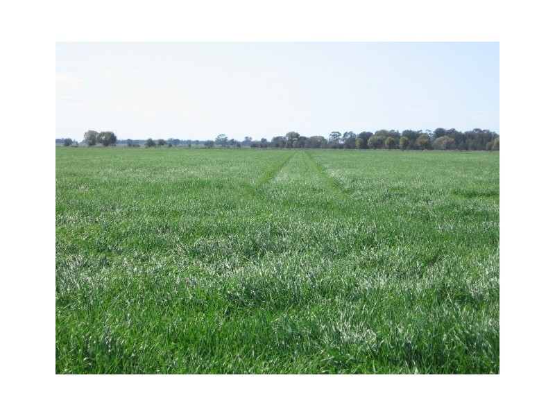 Moree NSW 2400