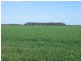 Moree NSW 2400