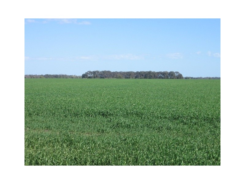 Moree NSW 2400