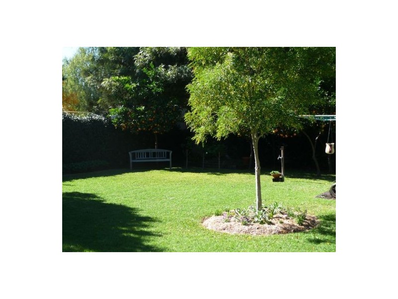 12 Ruse Street, Moree NSW 2400