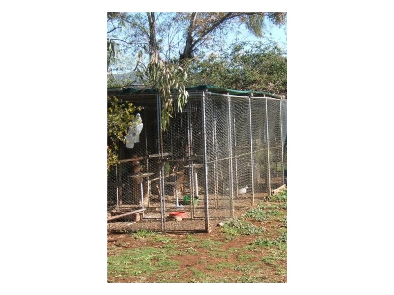 1 Bingara Road, Warialda Rail NSW 2402