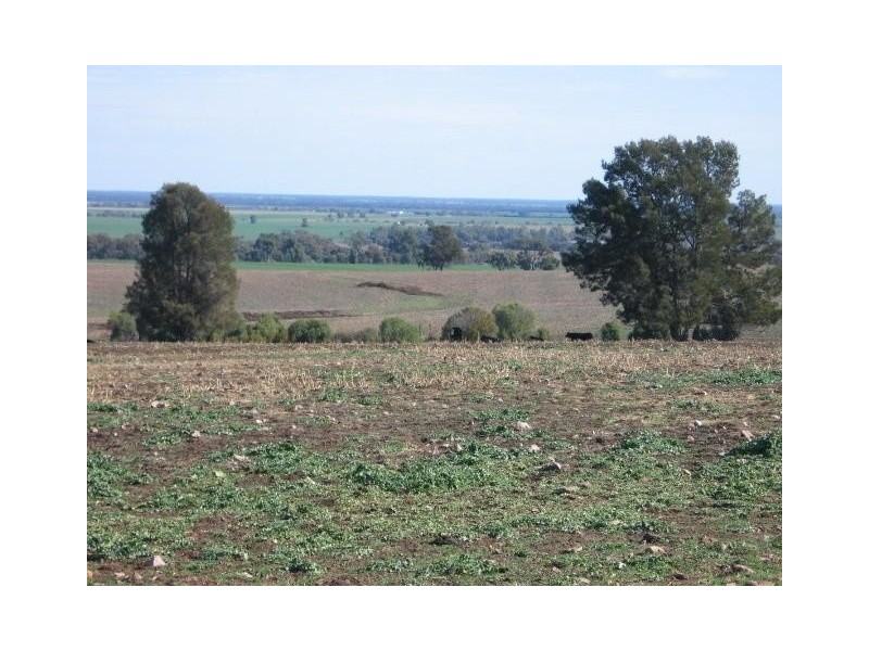 ‘ BRAYLEE’, Moree NSW 2400