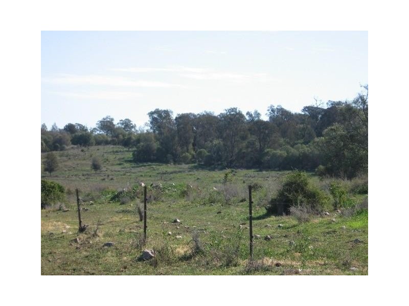 ‘ BRAYLEE’, Moree NSW 2400