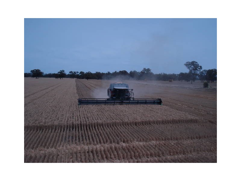 Walgett NSW 2832