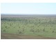 Walgett NSW 2832